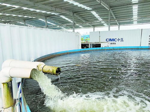 从土塘到工厂 江门水产养殖与家畜饲养的标准化之路